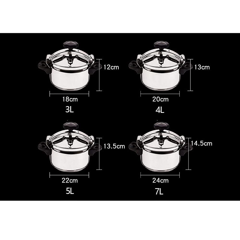 3L 304 Stainless Steel Pressure Cooker P79981