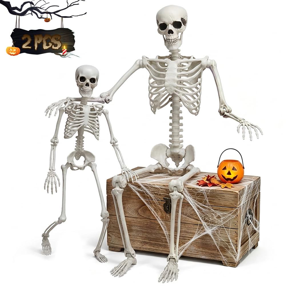 Life Size Skeleton with Movable Joints U3889