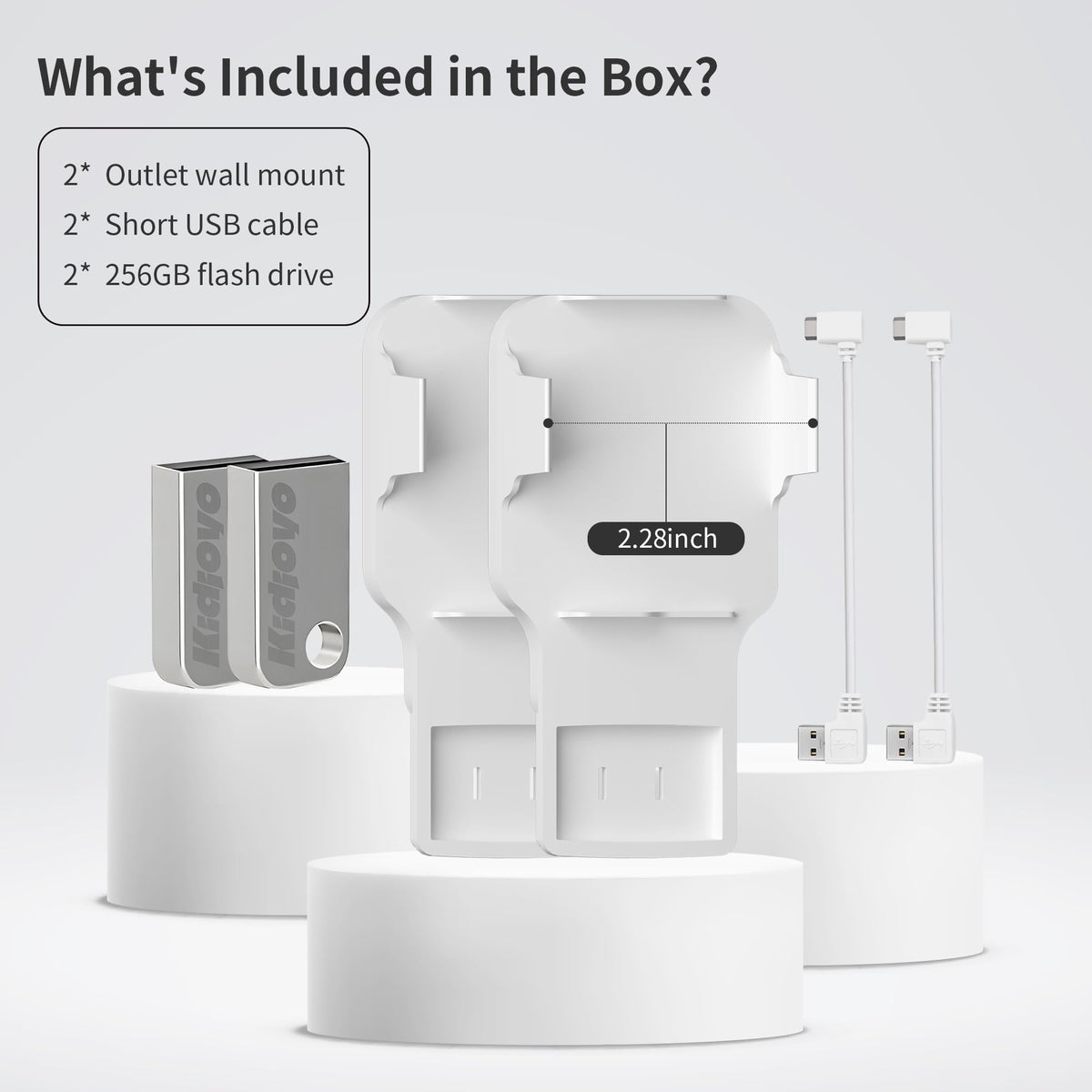 256GB USB Flash Drive & Wall Mount (2 Pack) Q10870