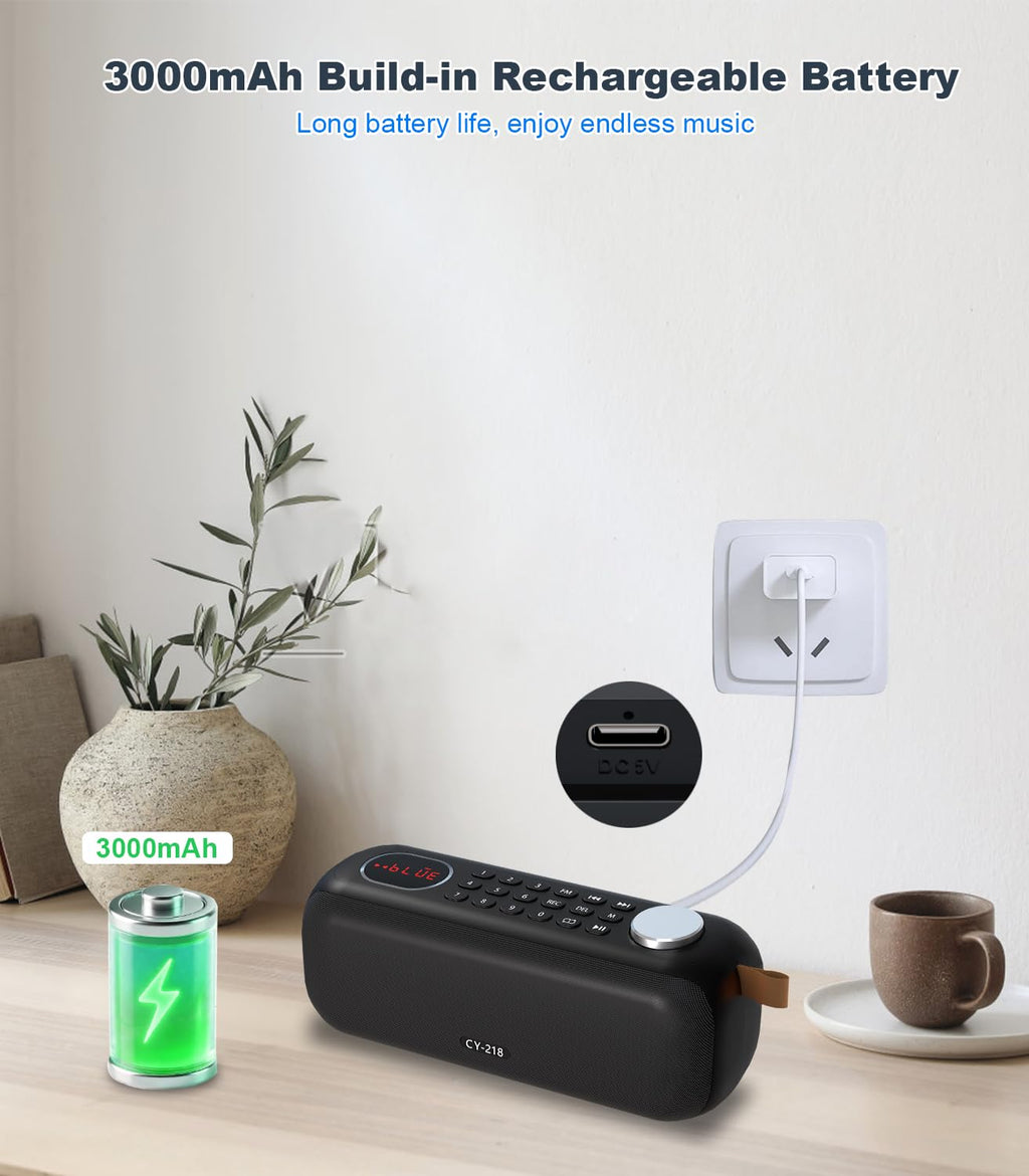 Portable Bluetooth Speaker FM Radio 10W Y494