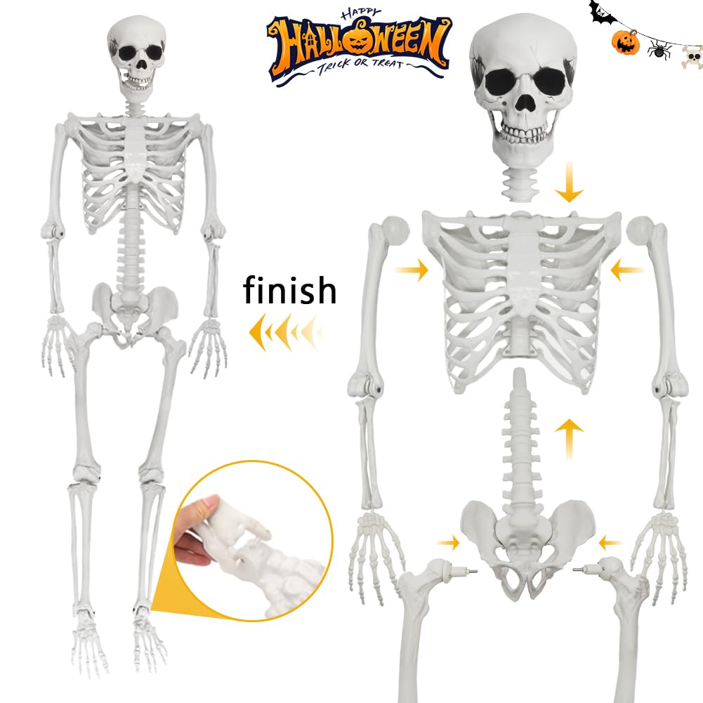 Life Size Skeleton with Movable Joints U3889