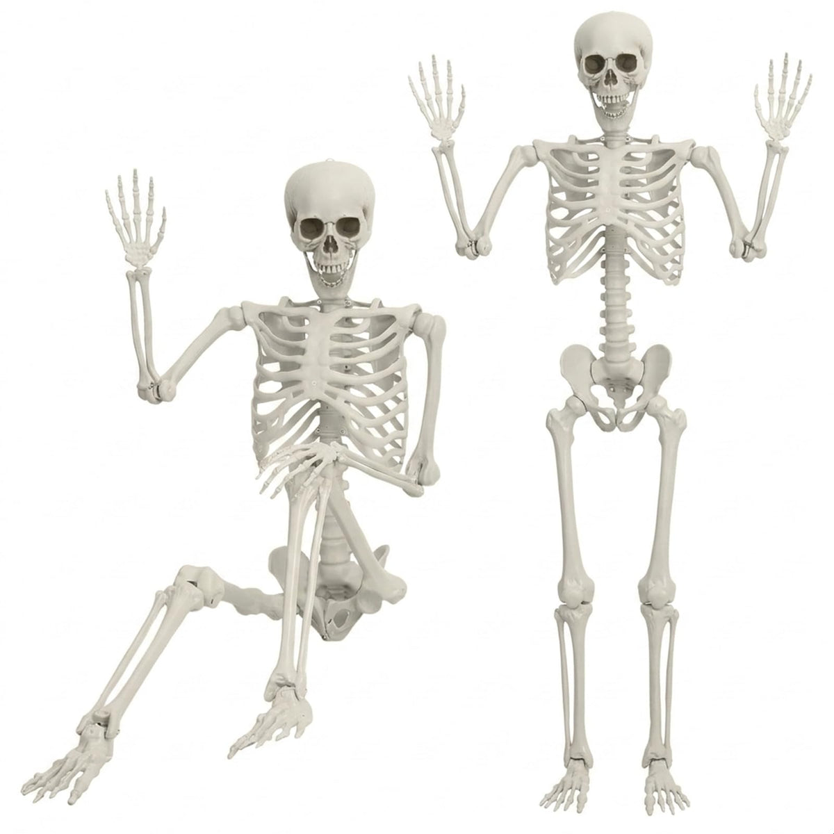 5.4FT Posable Life Size Skeleton with Movable Joints T72562