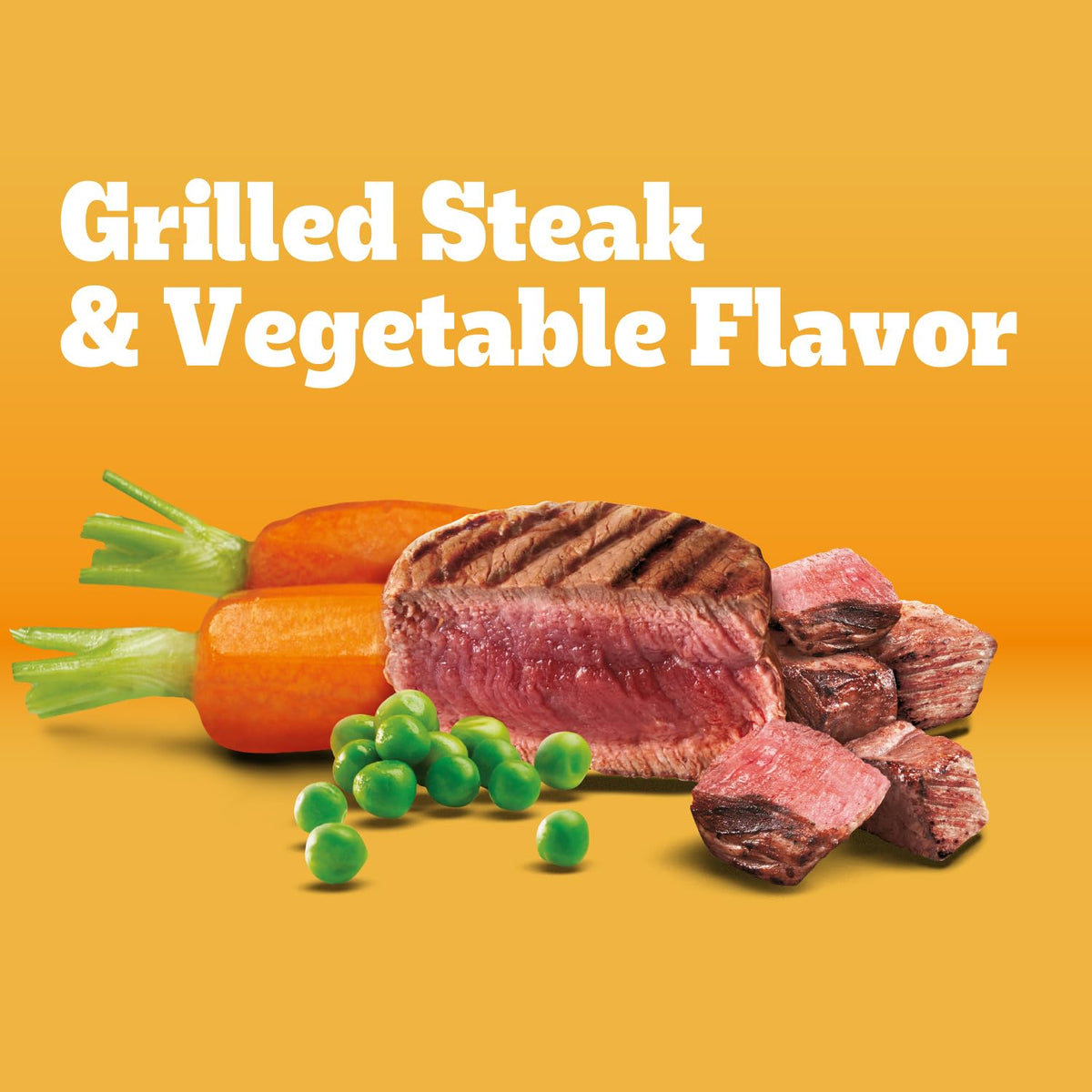 Adult Complete Nutrition Dry Dog Food Steak & Vegetable 18 lb L774445