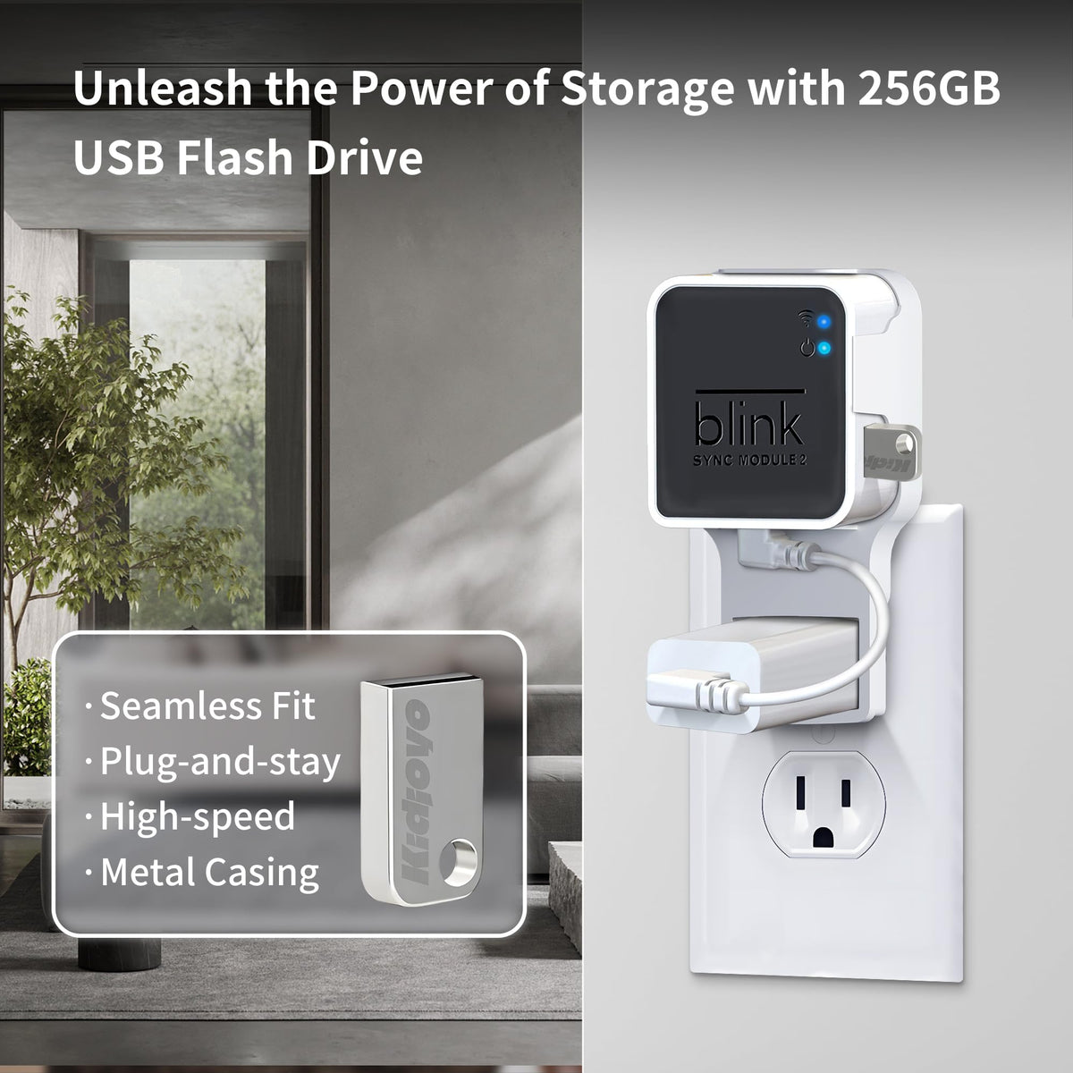 256GB USB Flash Drive & Wall Mount (2 Pack) Q10870