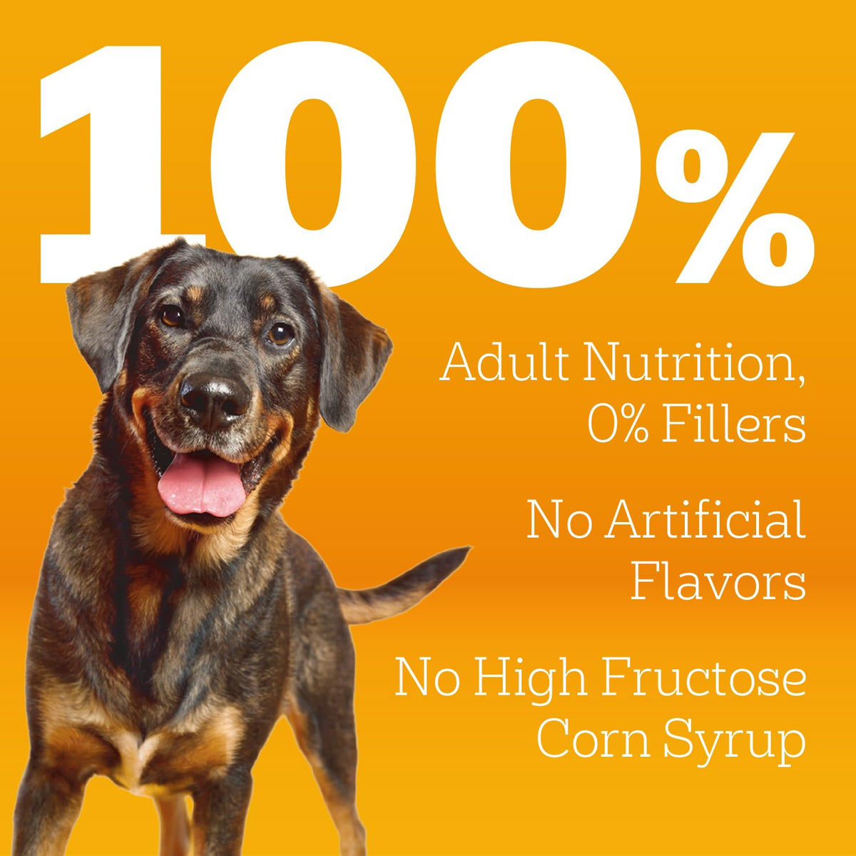 Adult Complete Nutrition Dry Dog Food Steak & Vegetable 18 lb L774445