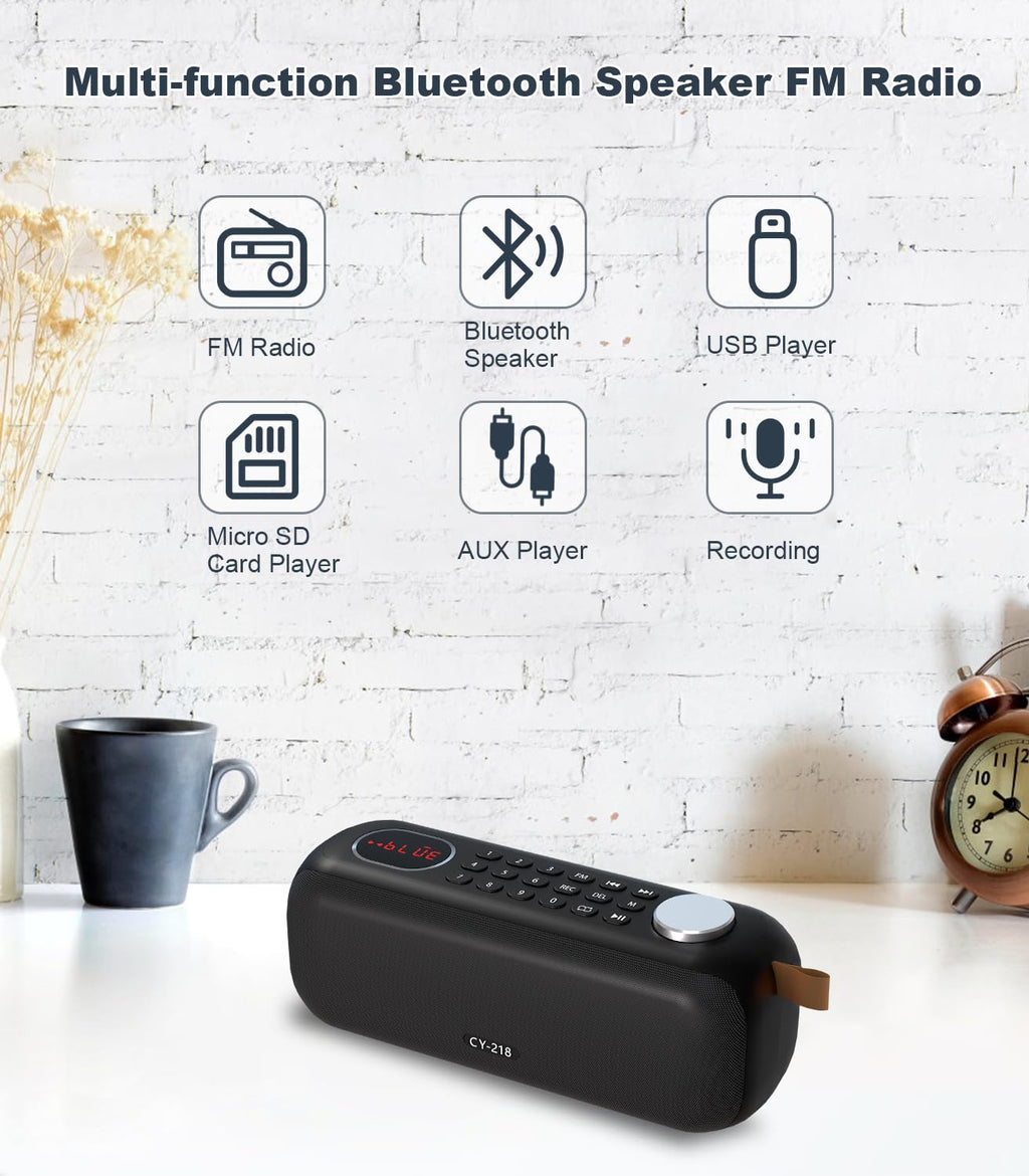 Portable Bluetooth Speaker FM Radio 10W Y494