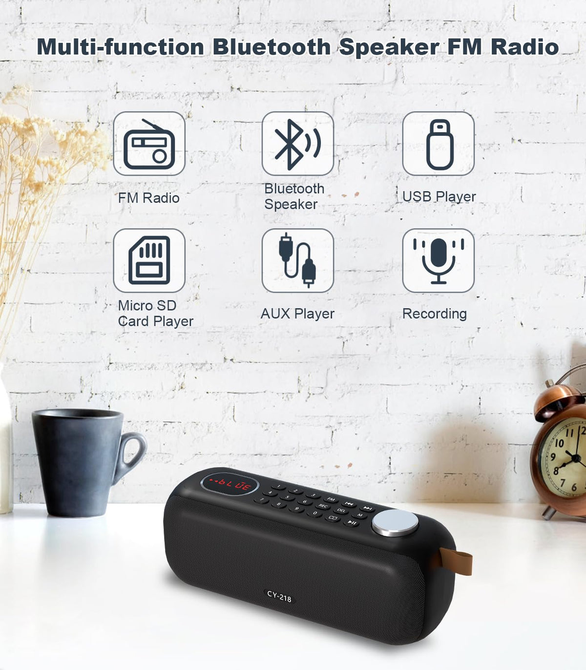 Portable Bluetooth Speaker FM Radio 10W Y494