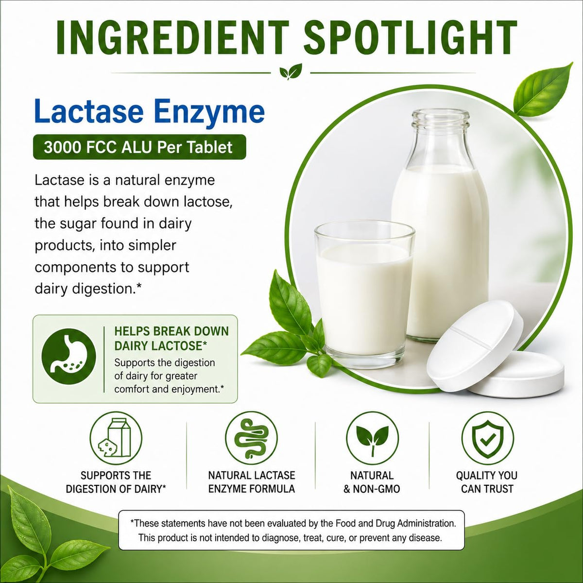 Lactase Enzyme 3000 FCC 360 Tablets M197409