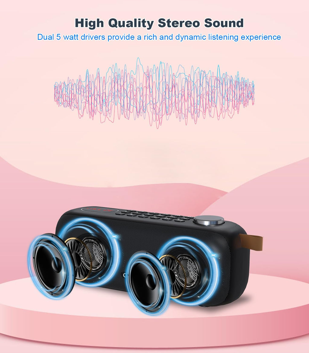 Portable Bluetooth Speaker FM Radio 10W Y494