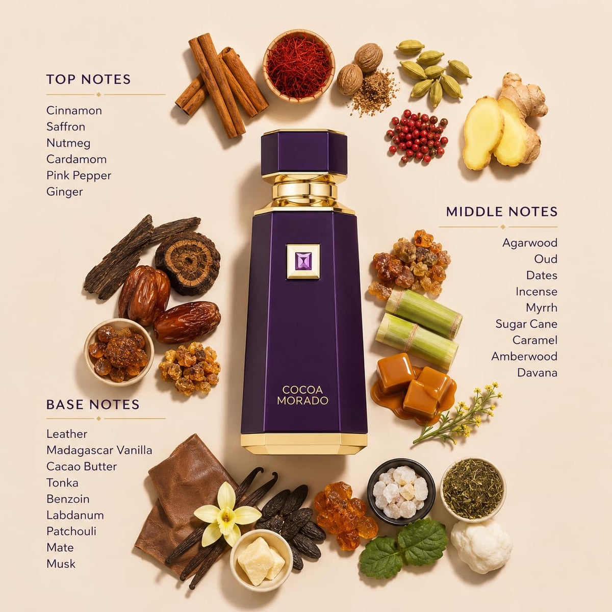 Cocoa Morado EDP 100ml X135220