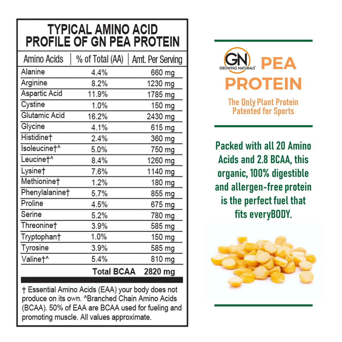 Raw Pea Protein Powder, Vegan Plant Based, BCAA, Low-Carb, Low-Sugar, Unflavored, 2 Pound D820