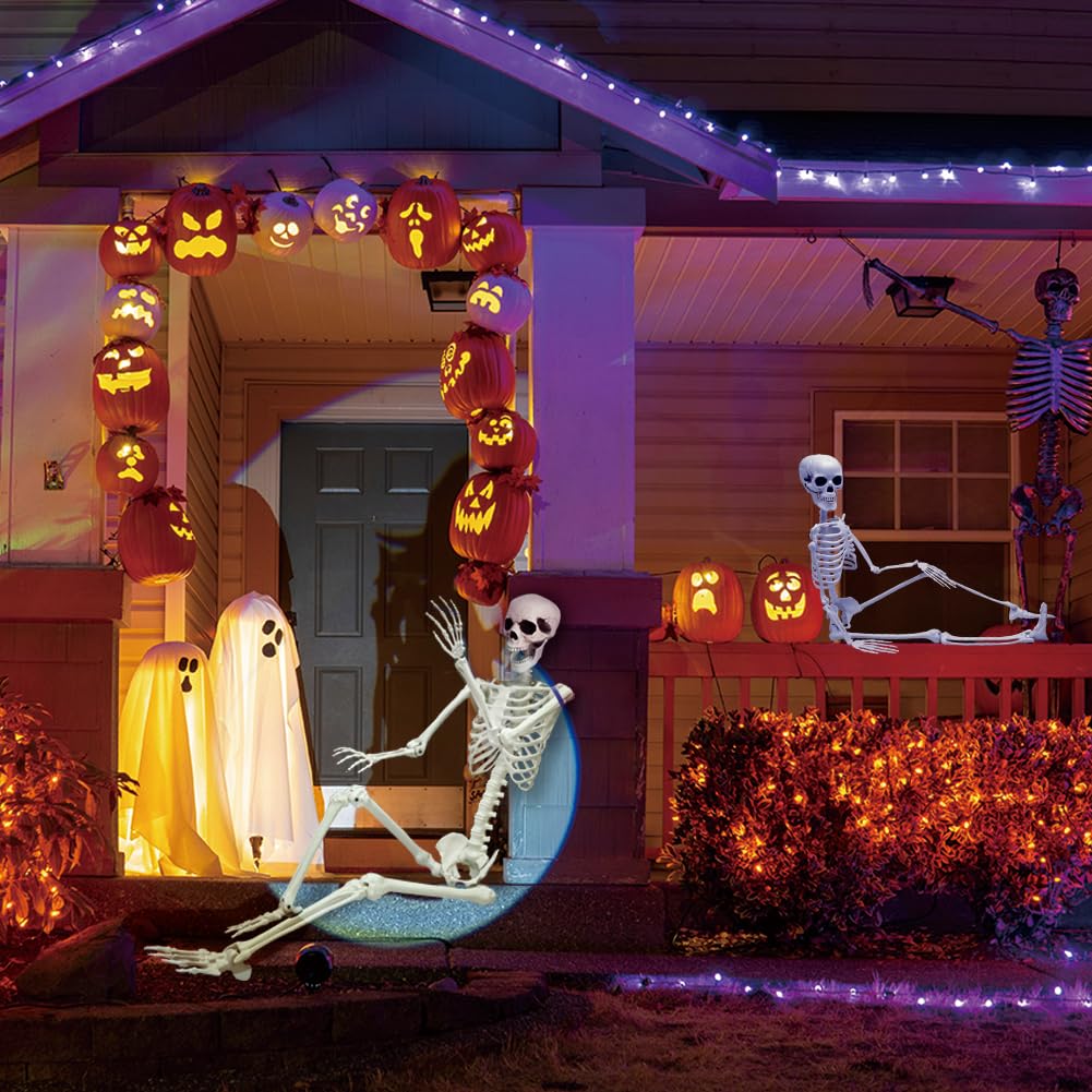 Life Size Skeleton with Movable Joints U3889