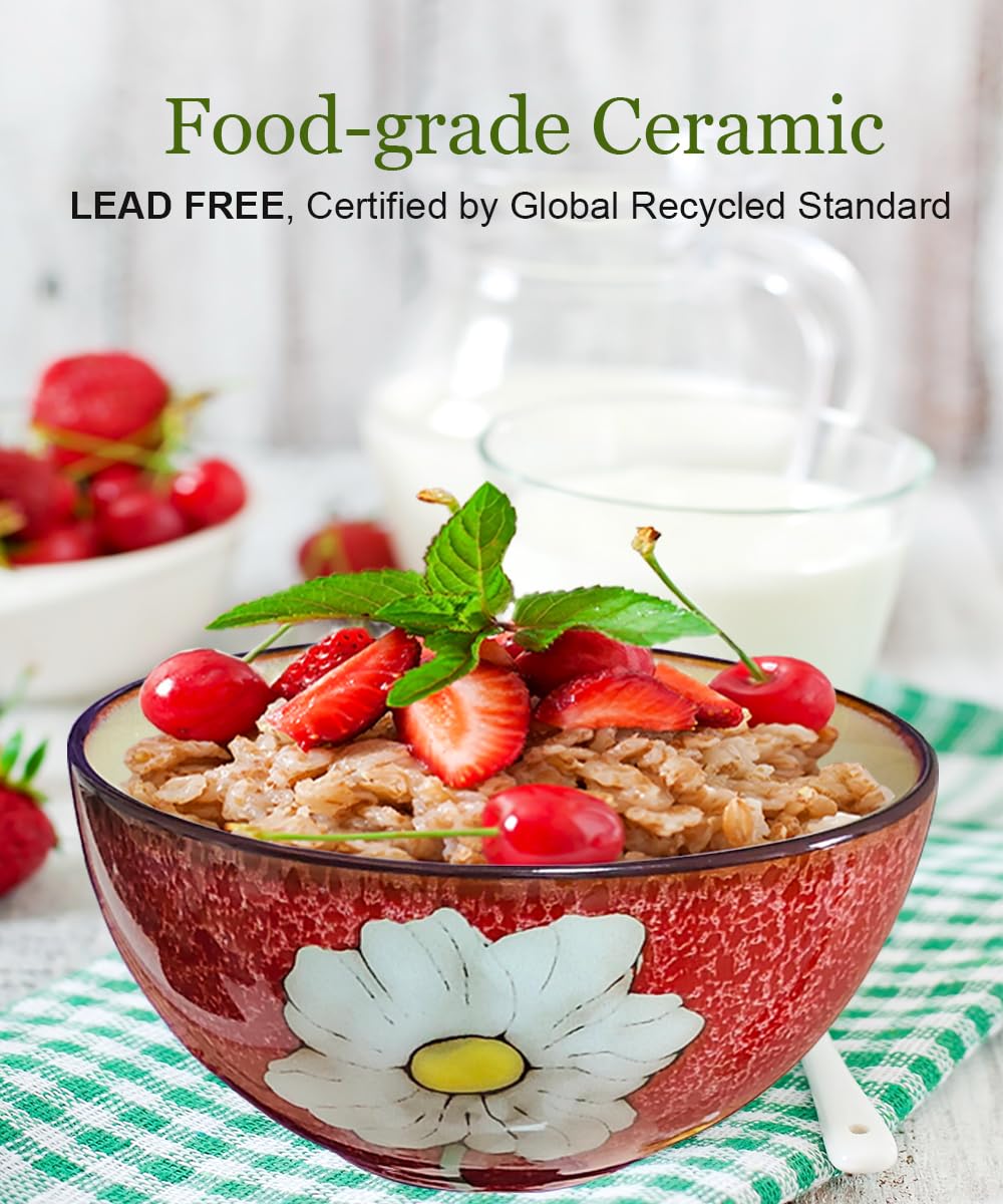 Ceramic Cereal Bowl Set of 4, 28oz Floral Pattern, Microwave Safe L174
