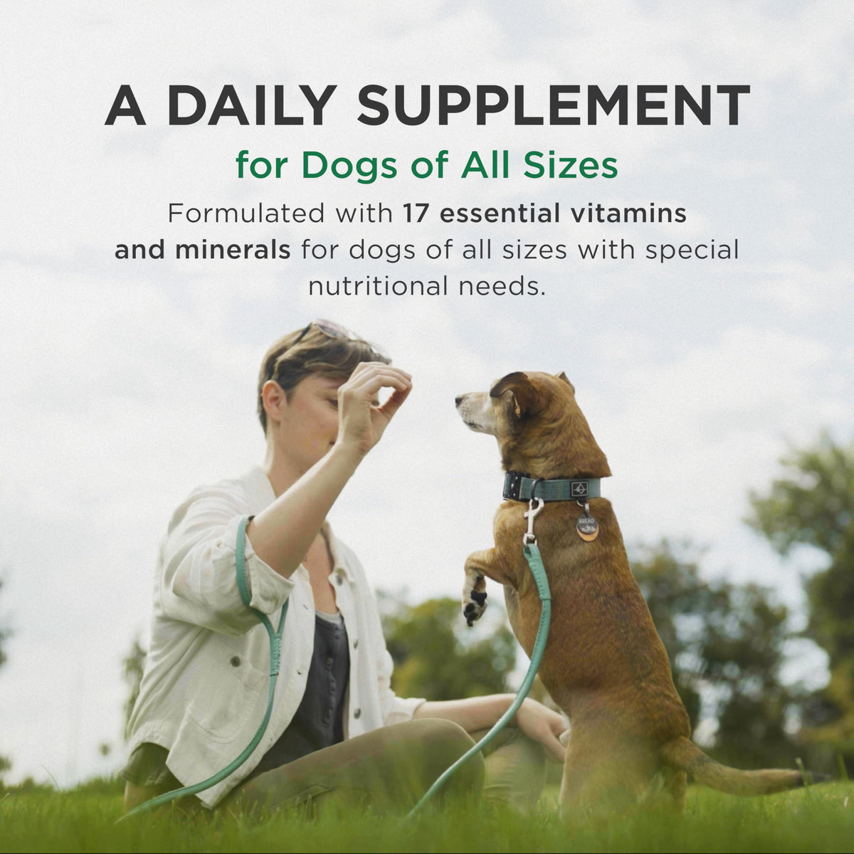 Multivitamin Supplement for Dogs 60 Chewables I5200