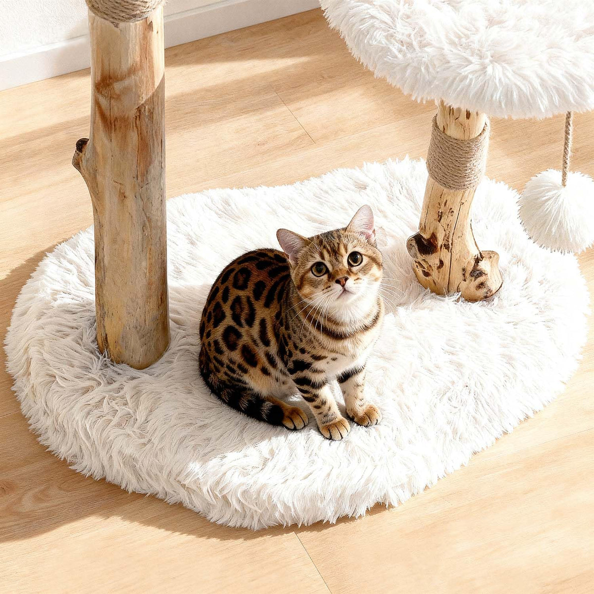 Modern Cat Tree Tower with Sisal Scratching Post D905527
