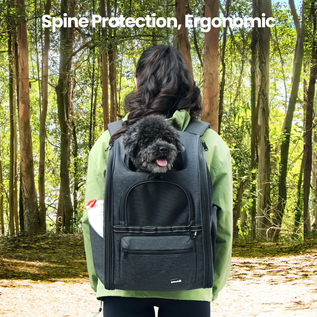 Ergonomic Breathable Cat Backpack R908