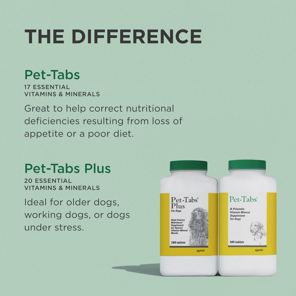 Multivitamin Supplement for Dogs 60 Chewables I5200