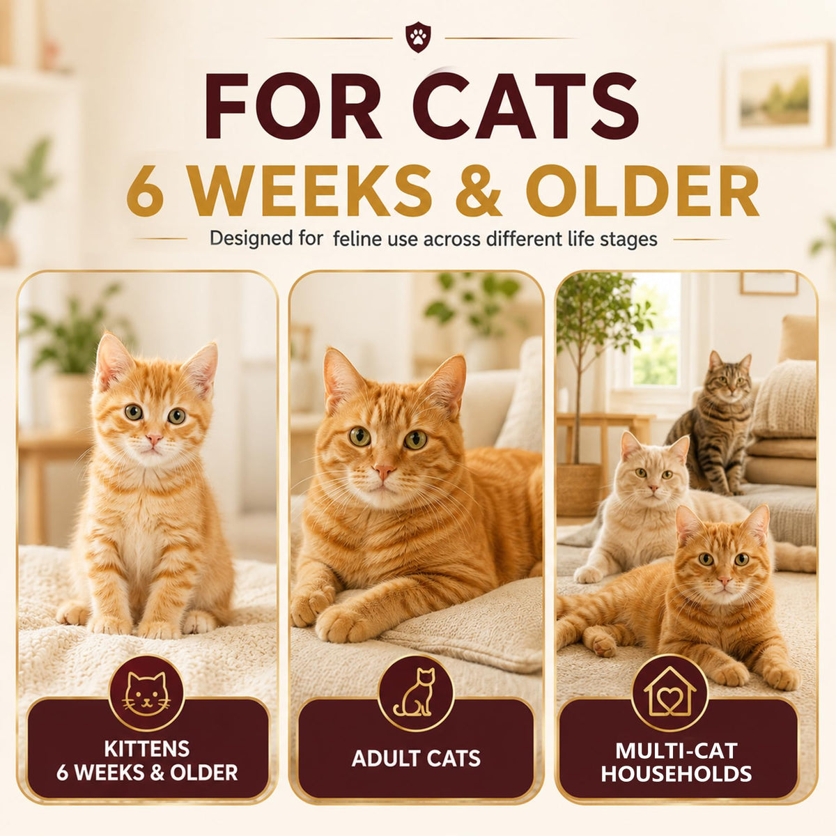 Cat Dewormer Tablets for Tapeworms, Roundworms & Hookworms D932